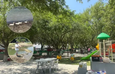 Conoce el hermoso parque escondido que está a solo 3 minutos de la Presa La Boca