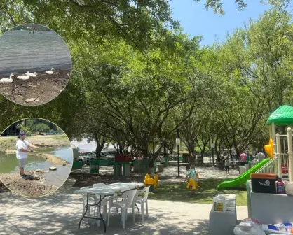 Conoce el hermoso parque escondido que está a solo 3 minutos de la Presa La Boca