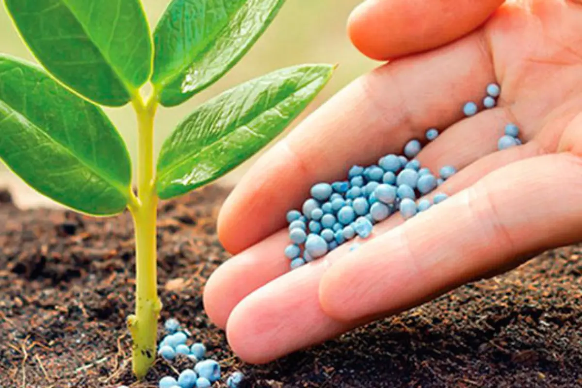 La iniciativa forma parte de una estrategia de largo plazo para fortalecer la autosuficiencia alimentaria del país y consolidar al sector agrícola. Foto: Freepik