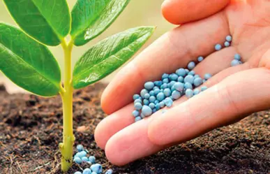 Eligen el puerto de Tampico para distribuir fertilizantes en la nueva red nacional