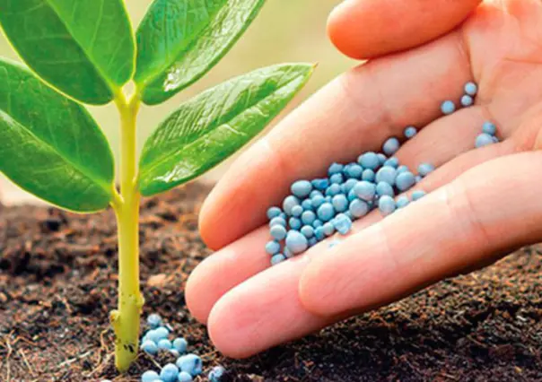 Eligen el puerto de Tampico para distribuir fertilizantes en la nueva red nacional