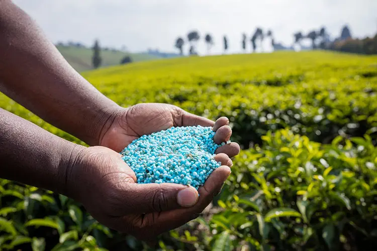 Con la inclusión de puertos como Tampico en esta red, se espera mejorar la disponibilidad y reducir los tiempos de entrega de fertilizantes. Foto: Freepik