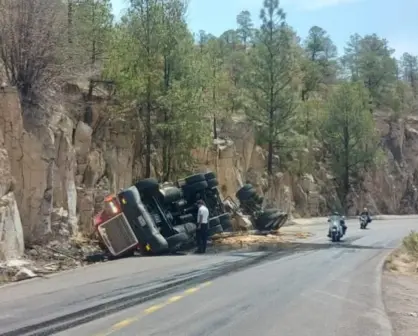Autopista Durango - Torreón: este es el número para llamar a Coconal si tienes una emergencia