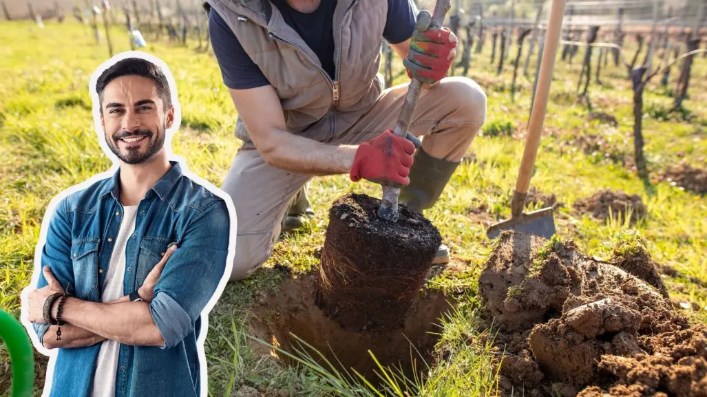 5 árboles nativos que puedes plantar en tu jardín si vives en Coahuila