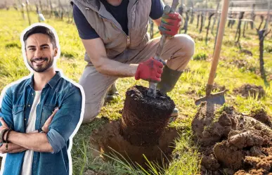5 árboles nativos que puedes plantar en tu jardín si vives en Coahuila