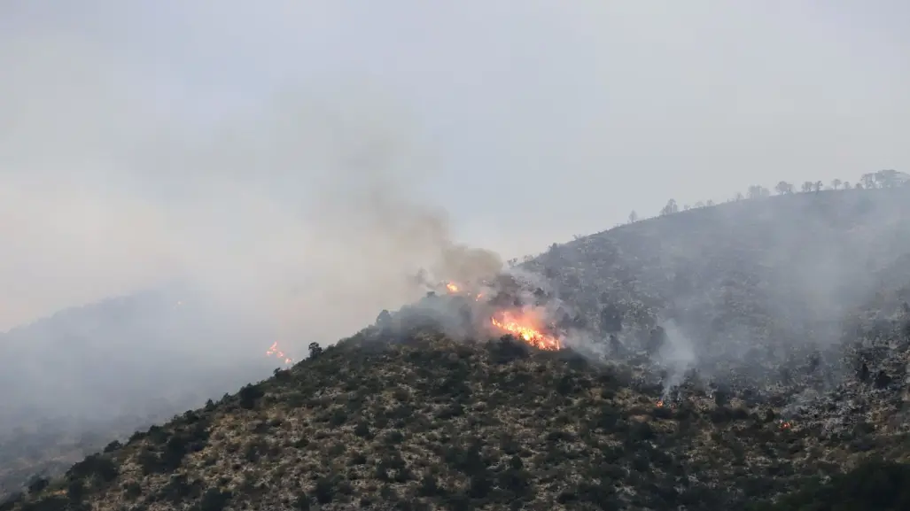 Combate Arteaga incendio forestal en límites con Nuevo León