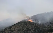 Combate Arteaga incendio forestal en límites con Nuevo León