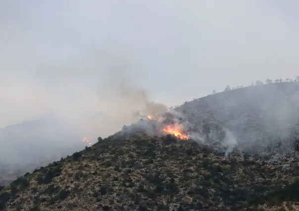 Combate Arteaga incendio forestal en límites con Nuevo León