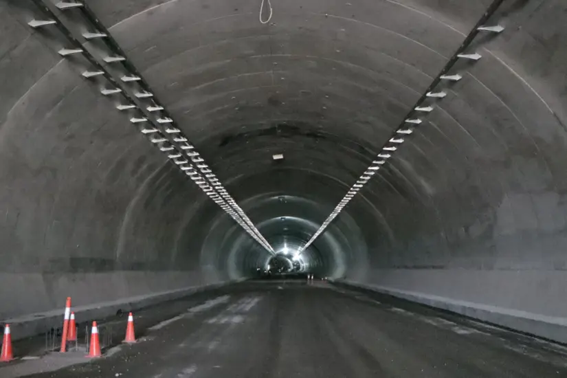 Los viveros y madrigueras fueron reubicadas | Foto: gobierno de Tamaulipas