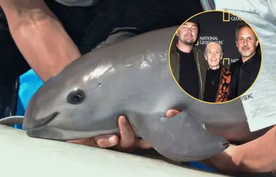 El documental de Nat Geo y DiCaprio que revela el crimen contra la vaquita marina en BC