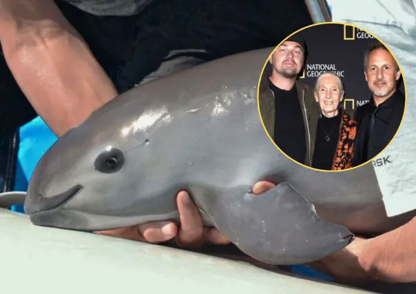 El documental de Nat Geo y DiCaprio que revela el crimen contra la vaquita marina en BC