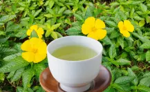 ¿Insomnio? Esta planta medicinal te ayudará a dormir toda la noche