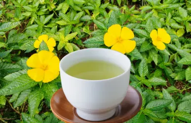 ¿Insomnio? Esta planta medicinal te ayudará a dormir toda la noche