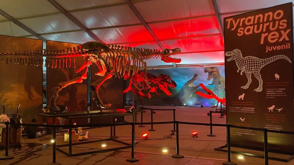 Museo del Desierto lleva su colección paleontológica al Zócalo capitalino