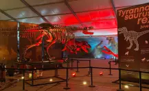Museo del Desierto lleva su colección paleontológica al Zócalo capitalino