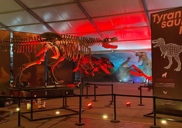 Museo del Desierto lleva su colección paleontológica al Zócalo capitalino