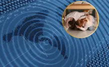 Participan más de 53 mil personas en simulacro de sismo en BCS