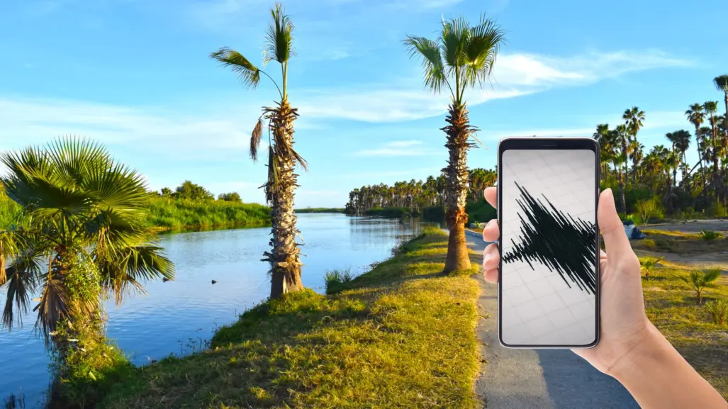 Sismos en Los Cabos: ¿Por qué se abrió la bocana del Estero de San José?