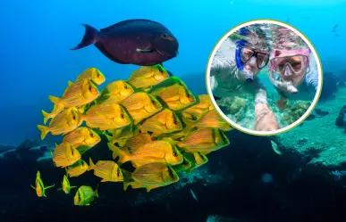 ¿Por qué Cabo Pulmo es la mejor opción para el snorkel en BCS?