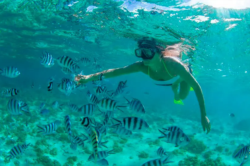Snorkel en Cabo Pulmo. Foto: Trip Advisor.