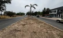 FOTOS | Así lucen jardineras y camellones de la salida al Mezquital