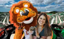 Yucatecos celebran el nuevo estadio de los Leones