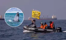 Cancelan polémico proyecto minero Don Diego en el Golfo de Ulloa: triunfo ambiental en BCS