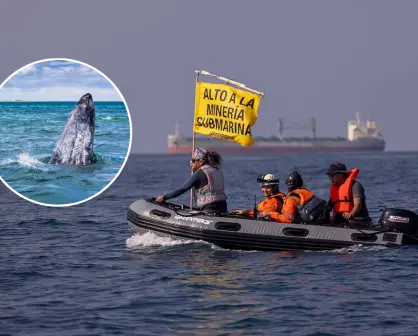 Cancelan polémico proyecto minero Don Diego en el Golfo de Ulloa: triunfo ambiental en BCS