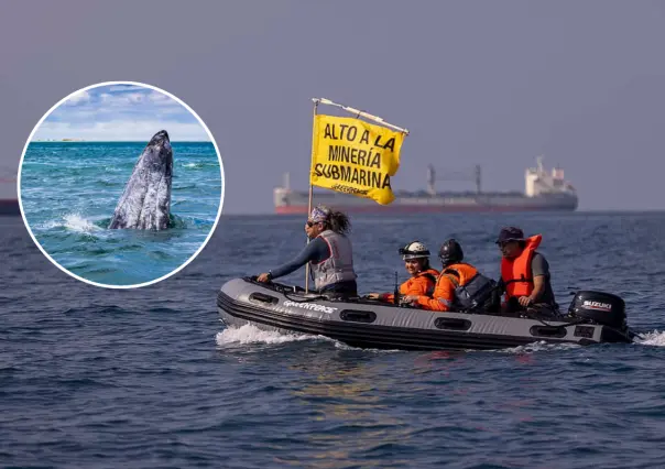 Cancelan polémico proyecto minero Don Diego en el Golfo de Ulloa: triunfo ambiental en BCS