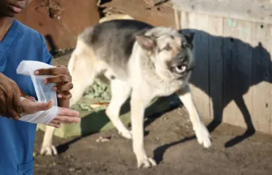 Dueños de perros pagarían daños por ataques, según iniciativa en el Congreso de BCS