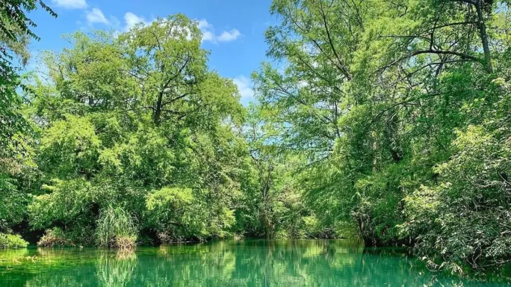 Reserva de la Biósfera El Cielo es reconocida como el mejor destino de naturaleza de México