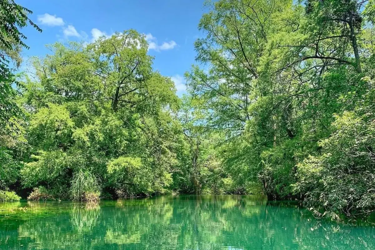 Paraje de la Reserva de la Biósfera El Cielo. Foto: Carlos García