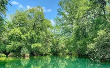 Reserva de la Biósfera El Cielo es reconocida como el mejor destino de naturaleza de México 