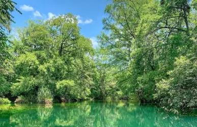 Reserva de la Biósfera El Cielo es reconocida como el mejor destino de naturaleza de México 
