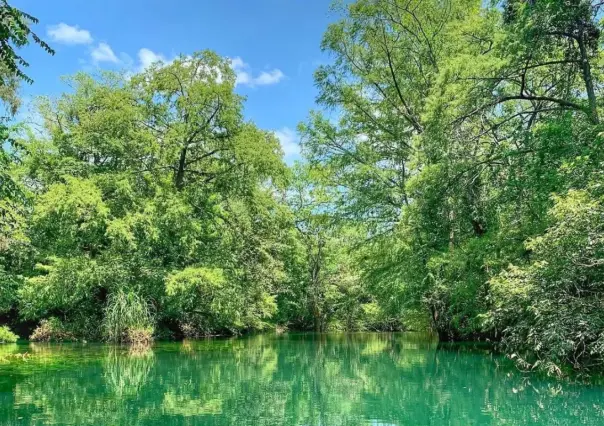 Reserva de la Biósfera El Cielo es reconocida como el mejor destino de naturaleza de México 