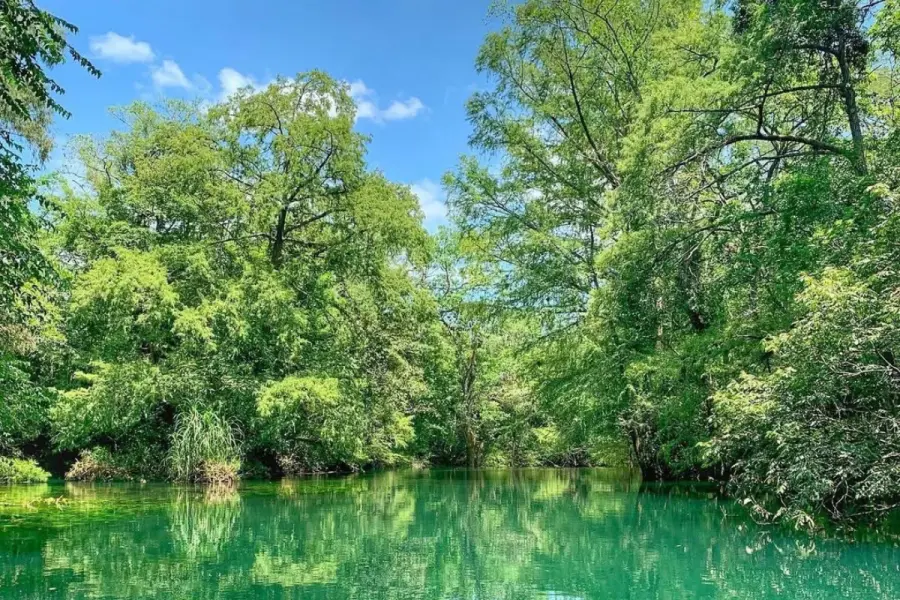 Reserva de la Biósfera El Cielo es reconocida como el mejor destino de naturaleza de México 