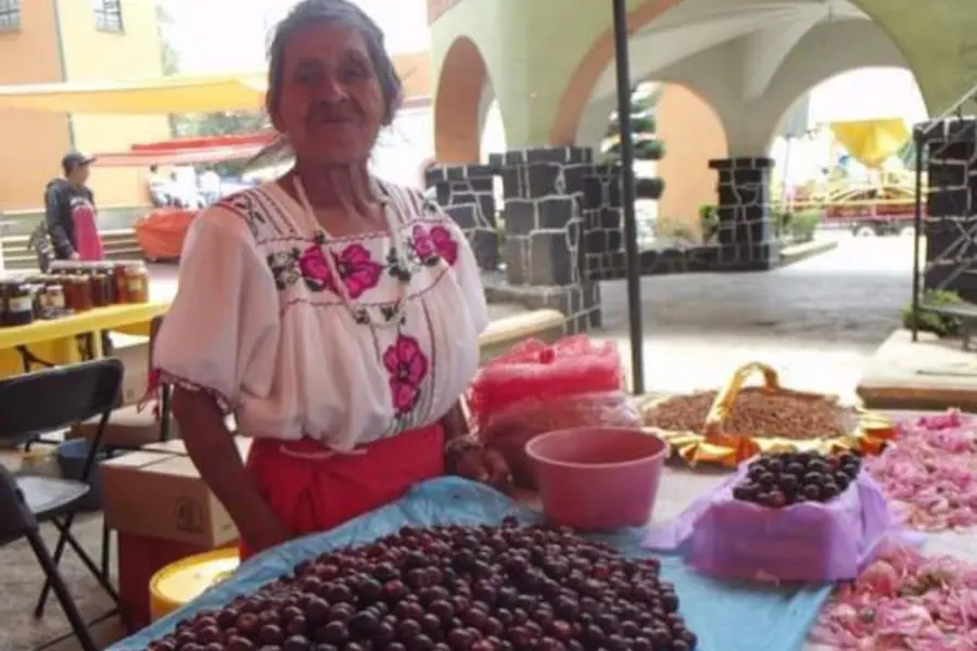 ¿Qué ferias arrancan este fin de semana en Edomex? Aquí te contamos