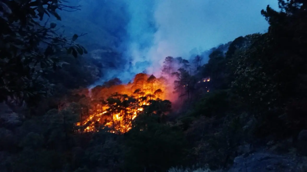 El bosque de Durango enfrenta una intensa temporada de incendios forestales. Foto: SRNYMA.