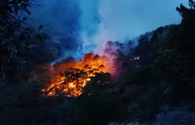 Detectan, vía satélite, un fuerte incendio en Durango; está cerca de Guanaceví