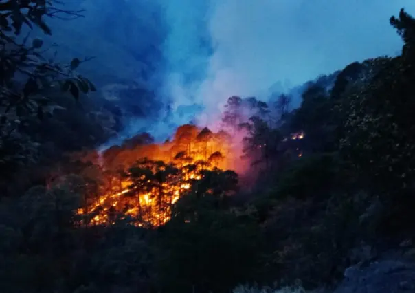 Detectan, vía satélite, un fuerte incendio en Durango; está cerca de Guanaceví