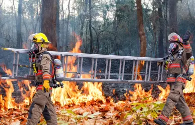 Estos son los reportes de incendios que recibe Protección Civil de Mérida