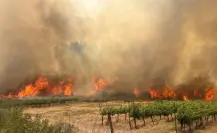 Israel declara emergencia nacional por incendios forestales en Jerusalén