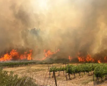 Israel declara emergencia nacional por incendios forestales en Jerusalén