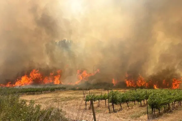 Israel declara emergencia nacional por incendios forestales en Jerusalén