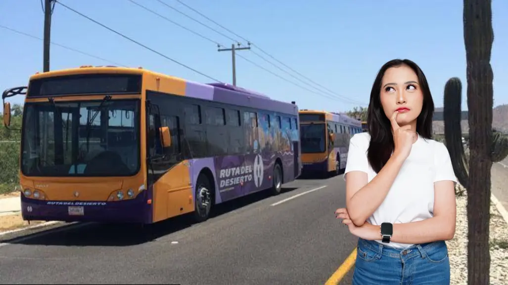 Más de mil personas podrán viajar gratis en transporte público en Los Cabos