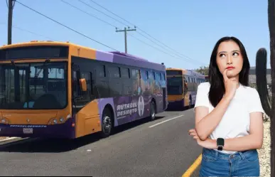 Más de mil personas podrán viajar gratis en transporte público en Los Cabos