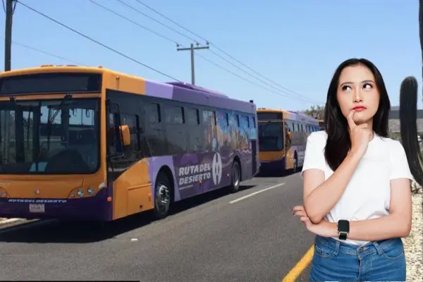 Más de mil personas podrán viajar gratis en transporte público en Los Cabos