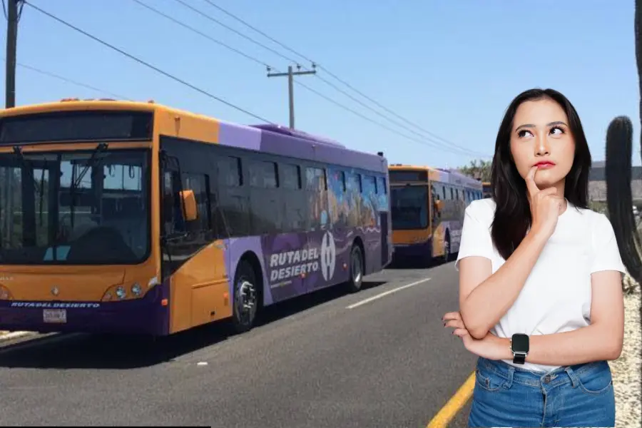 Más de mil personas podrán viajar gratis en transporte público en Los Cabos
