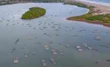 Nayarit, conoce la capital del ostión, una experiencia imperdible entre lagunas y canales