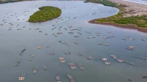 Nayarit, conoce la capital del ostión, una experiencia imperdible entre lagunas y canales